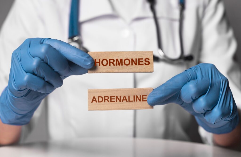 Doctor holding wooden blocks labeled hormones and adrenaline, illustrating how adrenaline functions in the body.