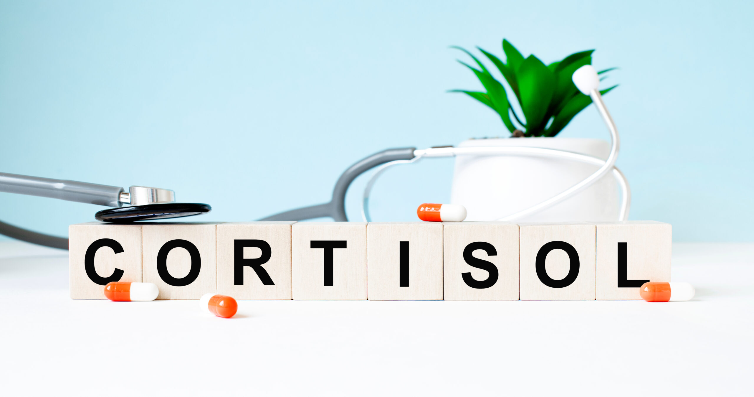 cortisol hormone