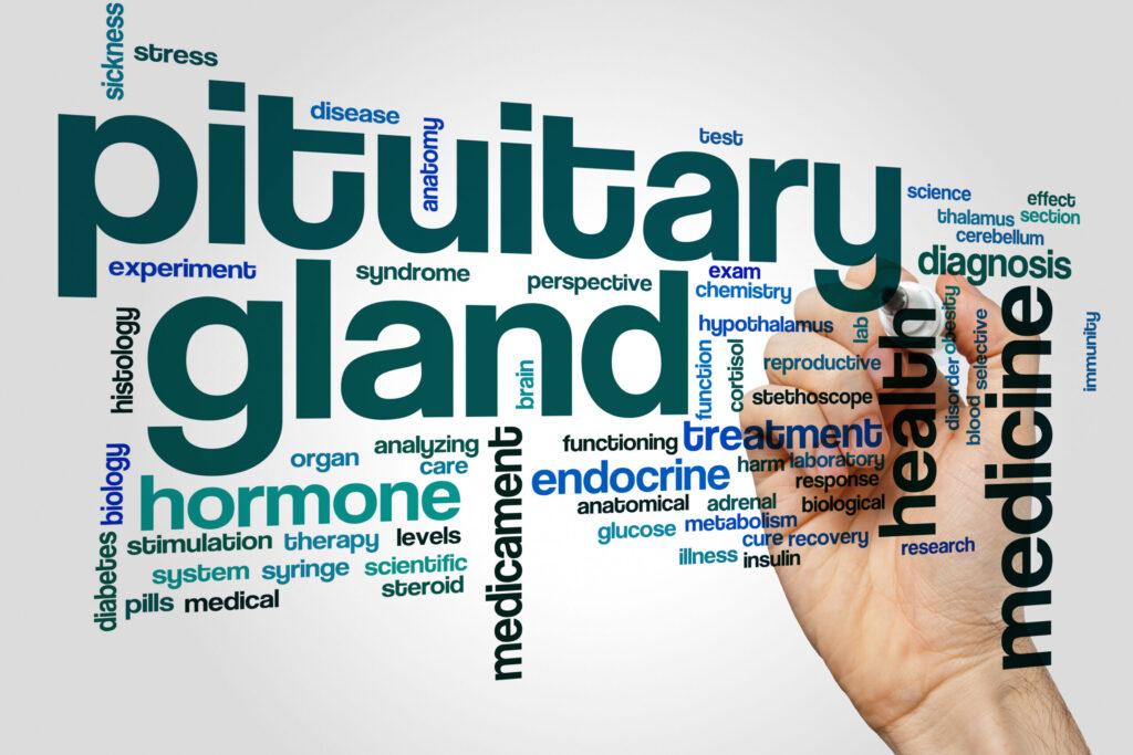 pituitary gland