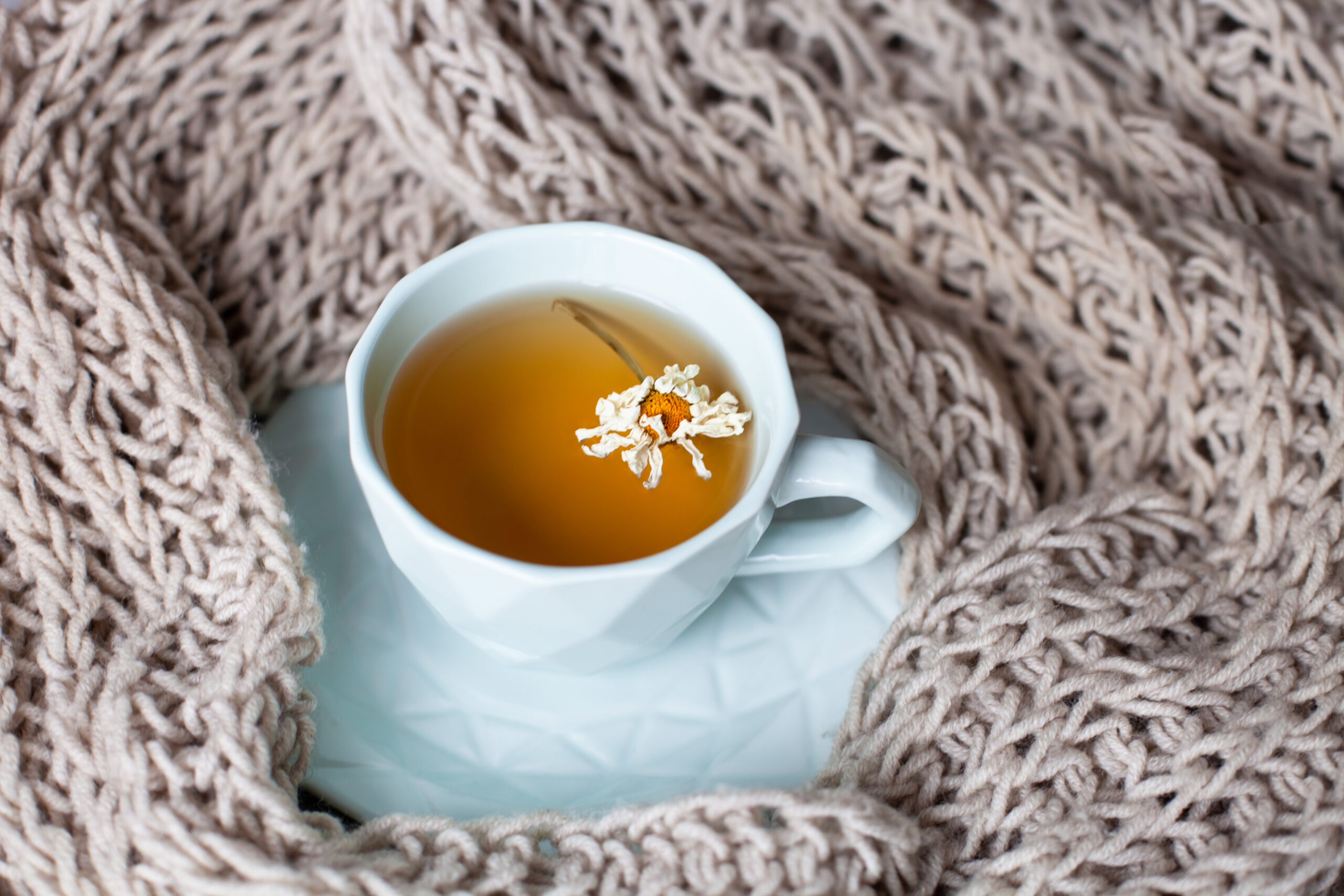 Home remedies for stomach flu 1 Stomach flu