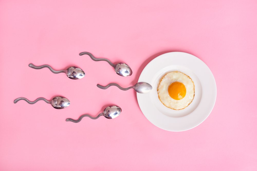 Ovulation and conception