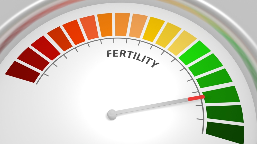 fertility cycle
