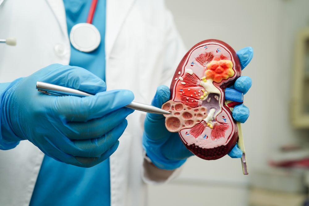 Kidney damage from diabetes: 5 ways to lower your risk 1 Diabetes and kidney health