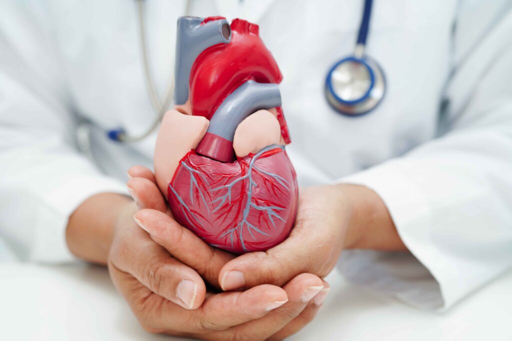 Cardiovascular disease 8 Cardiovascular disease