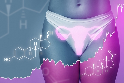 7 powerful ways hormones shape your menstrual health & fertility 1 Hormones