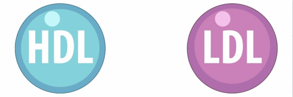 Cholesterol numbers explained: ldl, hdl, triglycerides 6 Cholesterol numbers explained ldl hdl triglycerides