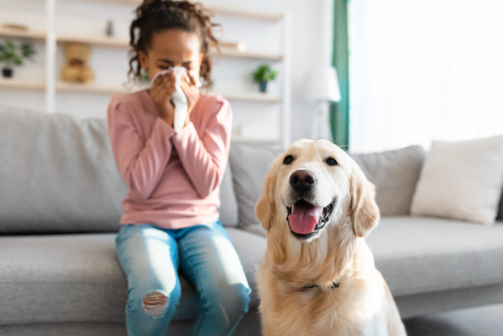 Pet allergies 4 Pet allergies