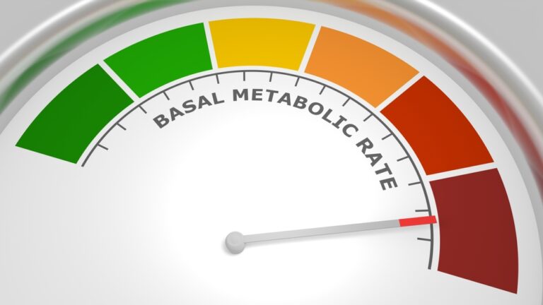 Basal Metabolic Rate (BMR) Vs. Resting Metabolic Rate (RMR): Measuring ...