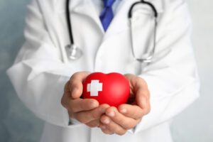 Doctor holding a heart model representing cardiac rehabilitation and lifestyle changes for heart health recovery