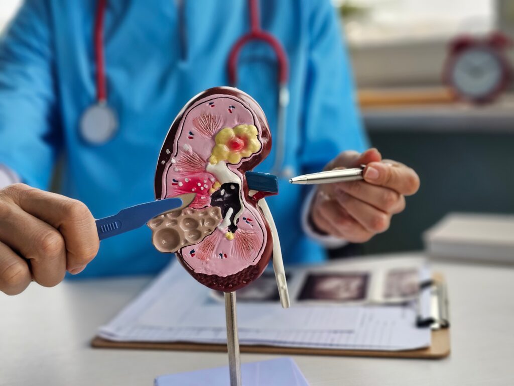Shutterstock 2567423921