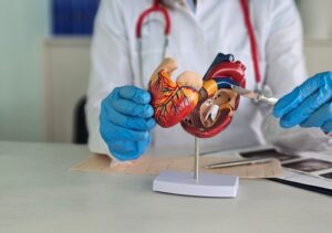 Medical illustration of heart valves showing blood flow and common valve problems like stenosis and regurgitation