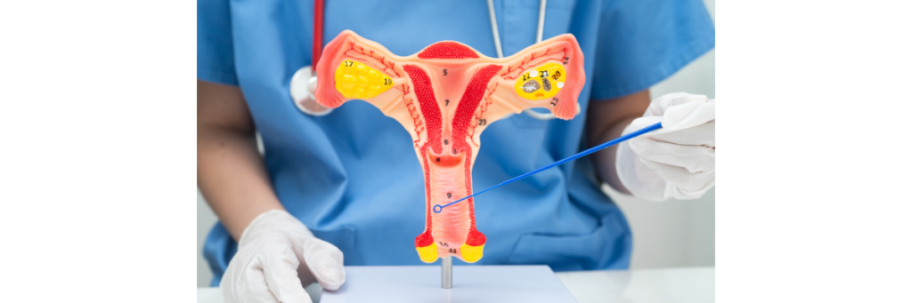 Endometrial ablation vs. Hysterectomy which is right for you