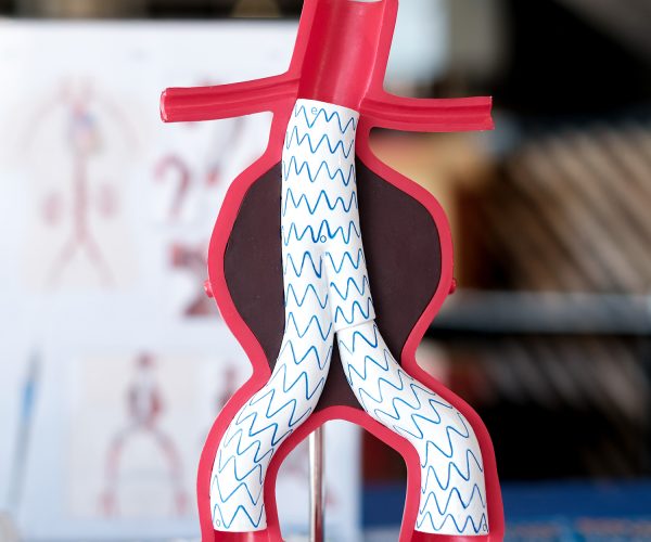 shutterstock_1520009633 L