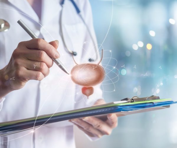 Doctor,Examines,Bladder,With,Prostate,On,Virtual,Screen.