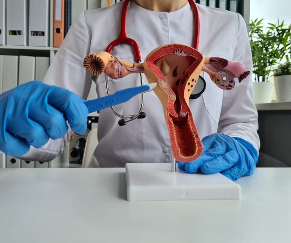 Gloved,Hand,Of,Doctor,Stretches,Scalpel,To,Female,Reproductive,System.