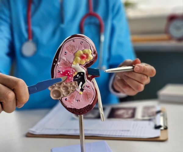 Kidney,And,Adrenal,Surgery,Is,A,Medical,Surgical,Operation.,The