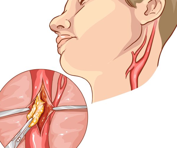 shutterstock_623913890 L